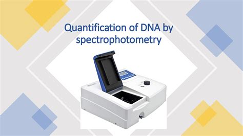 quantification of dna by spectrophotometry